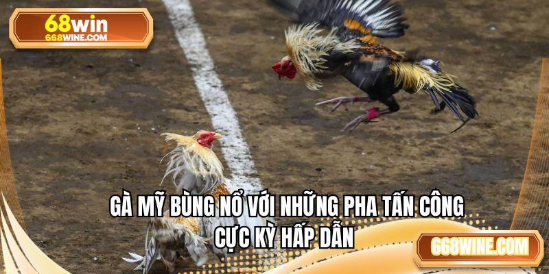 Gà Mỹ bùng nổ với những pha tấn công cực kỳ hấp dẫn